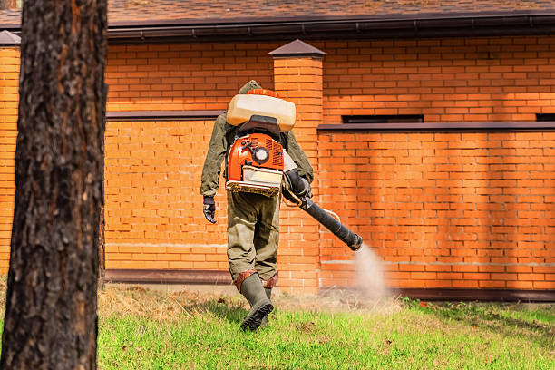 Trusted Rodent Control service in Lecanto, FL - Nex Pest Control